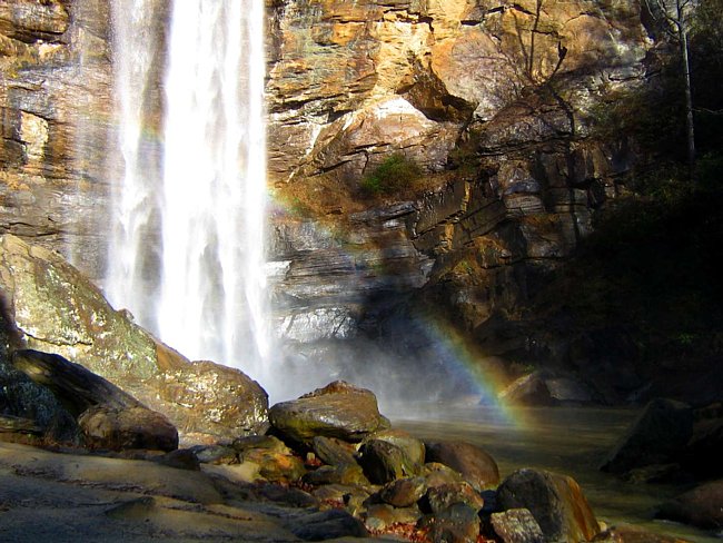 toccoa-falls
